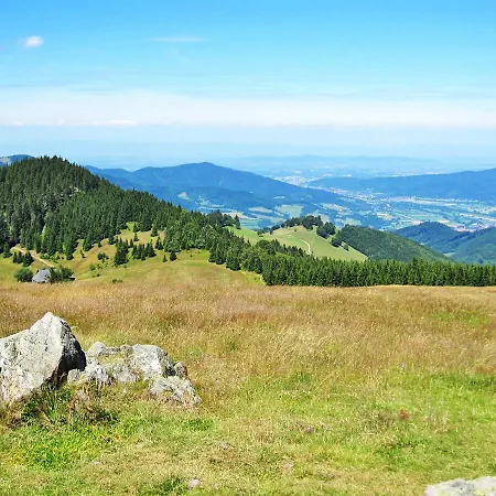 Apartment Ferienwohnung Hinterzarten 110S Hinterzarten