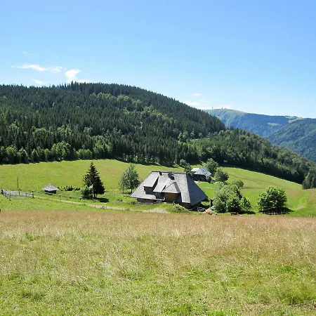 Ferienwohnung Hinterzarten 110S Apartment *